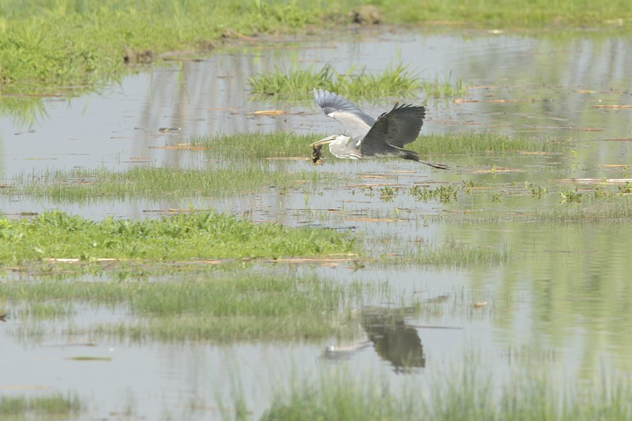 il lato dolce e crudele della Natura